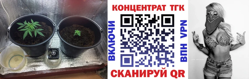 ТГК концентрат  цена   Курганинск 