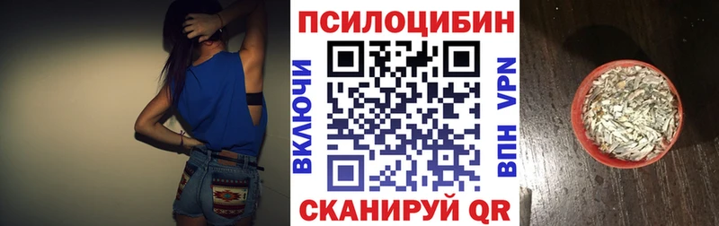 Галлюциногенные грибы Psilocybe  маркетплейс Telegram  Курганинск 